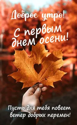 Начало осени - начало школьной жизни.... :: galina tihonova – Социальная  сеть ФотоКто