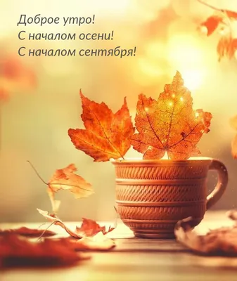 Пейзаж маслом \"Начало осени в парке\" 50x70 AR160303 купить в Москве
