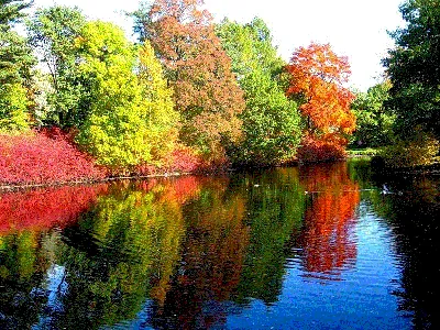 С первым днем осени - новые красивые открытки (36 ФОТО)