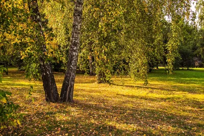 Кристийне - Поздравляем с началом осени!🍁🍂 | Facebook