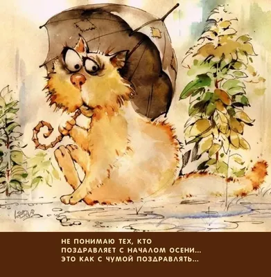 Брянцам пообещали теплое начало осени
