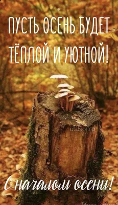 Подборка открыток и картинок с поздравлениями с первым днем осени - МК  Волгоград
