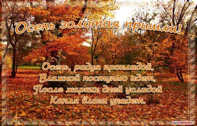 Картинки пожелания! Открытка первый день осени, с началом осени  поздравления!