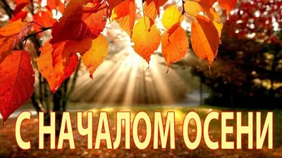 Картинки с надписями. Поздравлять с началом осени - зачем?.