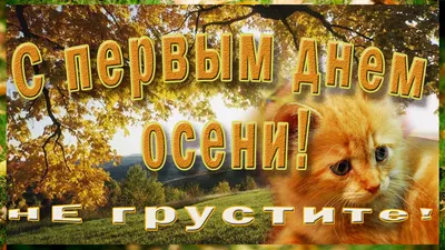 Журнал Я ПОЮ - 🍁С началом осени и новым учебным годом!🍁 ⠀⠀ 🤗Дорогие наши  подписчики, школьники, родители, студенты, учителя, преподаватели!  Творческая команда журнала «Я пою» от всей души поздравляет вас с началом
