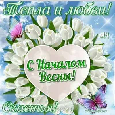 25 необычных картинок «С Первым днем весны!» – Блог Canva