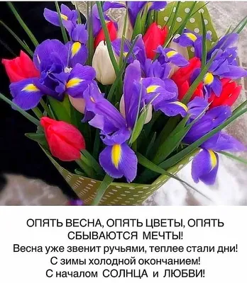 С первым днем весны 2020 – гиф красивые и поздравления в прозе, смс, стихи
