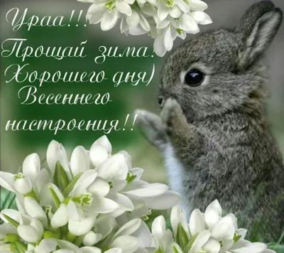С первым днем весны - новые красивые открытки (46 ФОТО)