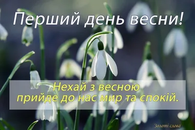С Первым днем весны! Обворожительной красоты открытки и солнечные слова 1  марта | Весь Искитим | Дзен