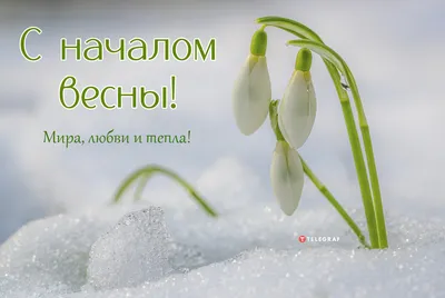 С первым днем весны 2021 - картинки с началом весны, открытки и  поздравления с 1 марта — УНИАН