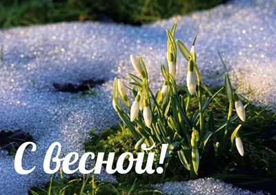 Поздравляем Вас с началом весны и Международным женским днем!