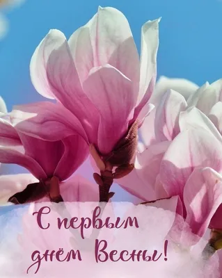 Чувствуете ли вы прилив сил с началом весны? . Ежедневная городская газета  Орская хроника