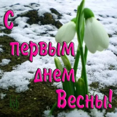 С первым днём весны! Весь мир просыпается вместе с весной! С началом  праздника жизни вас! :: Ольга Русанова (olg-rusanowa2010) – Социальная сеть  ФотоКто