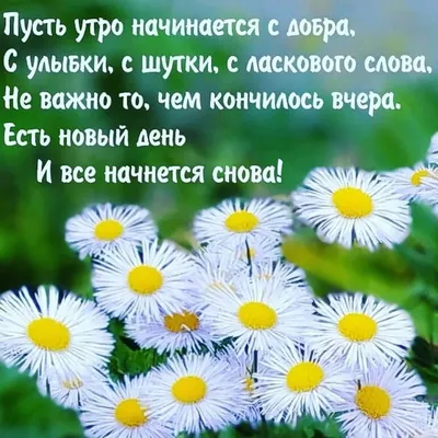 С новым днём! И помните, что погода - это то,что у вас внутри , а не за  окном 💙💙💙 | Instagram