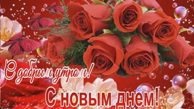 С новым днем! (Перлинка) / Стихи.ру