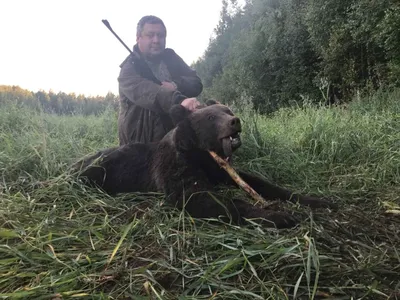 Удивительные моменты с охоты на медведя