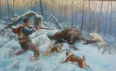 Ошеломляющие изображения медвежьего мира