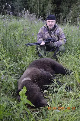Исключительные кадры с охоты на медведя