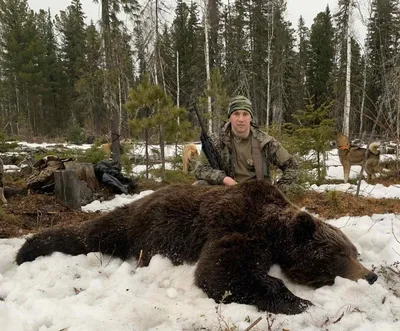 Впечатляющие моменты с охоты на медведя: скачать бесплатно в формате jpg