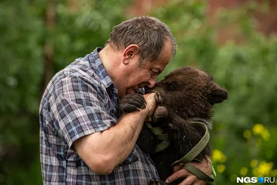 Загадочный мир медведей: фотографии в формате webp