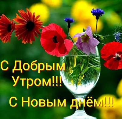 🌸☕️ Здравствуй, Август! Доброе утро Августа!🌸 Счастливого Августа!  Музыкальная видео открытка. - YouTube