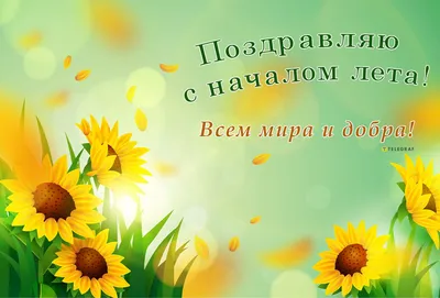 С первым днем лета 2021: прикольные поздравления и картинки | OBOZ.UA