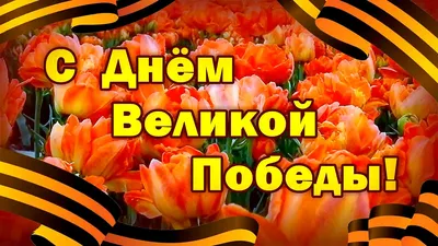 9 Мая. Поздравление с праздником | Физический факультет