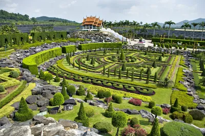 Тропический ботанический сад Нонг Нуч (Nong Nooch Tropical Botanical  Garden) | ботанический сад, собрание миниатюрных деревьев бонсаи, парк  орхидей | Паттайя | Таиланд