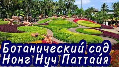 Лучшие экскурсии в Паттайе / Блог Chip.Travel