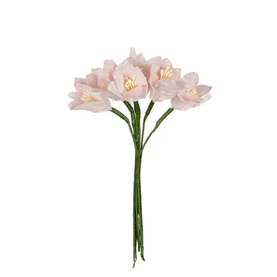 Лилии / Lílium - «Лилия садовая» | отзывы