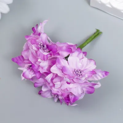 Лилия садовая, цена 150 руб. купить в Павловском Посаде