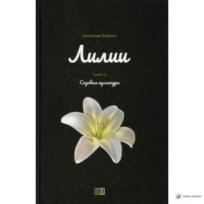Лилия садовая, рекомендации по уходу и выращиванию | SadGrad.ru | Дзен