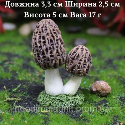 Садовые фигуры грибы для садоводов купить оптом и в розницу от СадАгро в  Москве и Московской области.