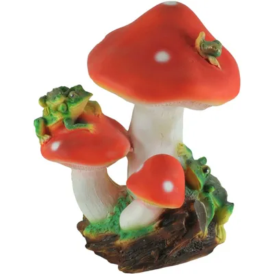 белые садовые грибы из южной африки. Стоковое Изображение - изображение  насчитывающей сад, еда: 217690091