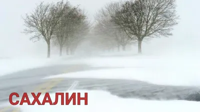 Южносахалинск — стоковые фотографии и другие картинки Сахалин - Сахалин,  Зима, Городской ландшафт - большой город - iStock