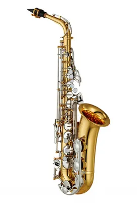 Уроки игры на саксофоне онлайн от Школы First Music FamilyDescription