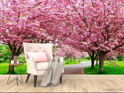 Hidden Shrine of the Sakura Trees Poster | Zazzle | Sakura tree, Beautiful  nature, Cherry blossom wallpaper