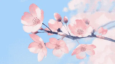 Sakura Desktop HD Wallpapers - Wallpaper Cave