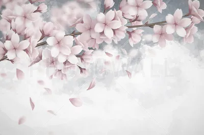 100+] Sakura Pc Wallpapers | Wallpapers.com