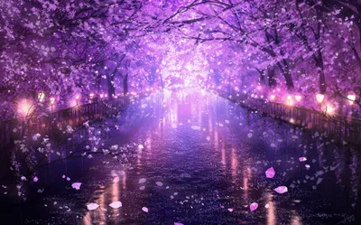 Живые обои Аниме Sakura Drop Animated Wallpaper скачать бесплатно для  windows