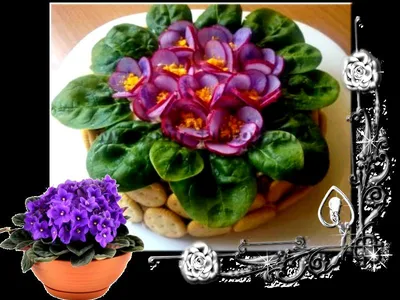 Сытный и яркий салат «Фиалка» Просто Вкусно Рецепт вкусного салата Часто  готовлю Salad \" Violet» - YouTube