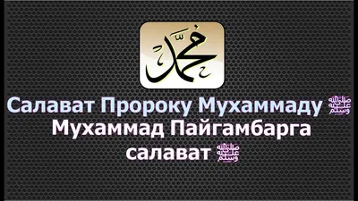 Сегодня пятница, прочитайте суру «Аль-Кахф» и не забывайте больше прои... |  TikTok