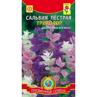 Купить семена: Сальвия Пёстрая Триколор (смесь) - цены,фото,отзывы |  Green-Club.com.ua