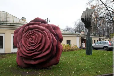 Самая большая роза в мире фото фотографии
