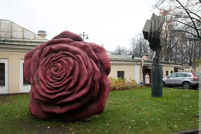 Самая большая роза в мире фото