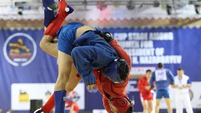 Самбо wrestling иллюстрация вектора. иллюстрации насчитывающей боевой -  43822151