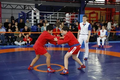 Шорты для самбо ВФС BRAVEGARD Ascend красные - Sambo-shop.com