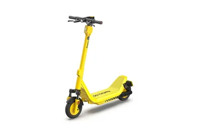 Scooter Maxi Lights Print 108 складной трёхколёсный самокат со светящимися  колёсами - Купить