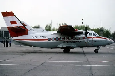 Спасатели освободили пассажиров L-410 из салона самолета - Газета.Ru |  Новости