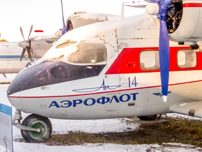 Самолет Ан-14 \"Пчелка\" | РИА Новости Медиабанк